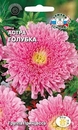Цветок Астра Голубка (принцесса, розовая, крупная махровая)