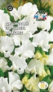 Цветок Душистый Горошек Виконт (белый)