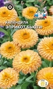 Цветок Календула Эприкот Бьюти (абрикосовая, ноготки)